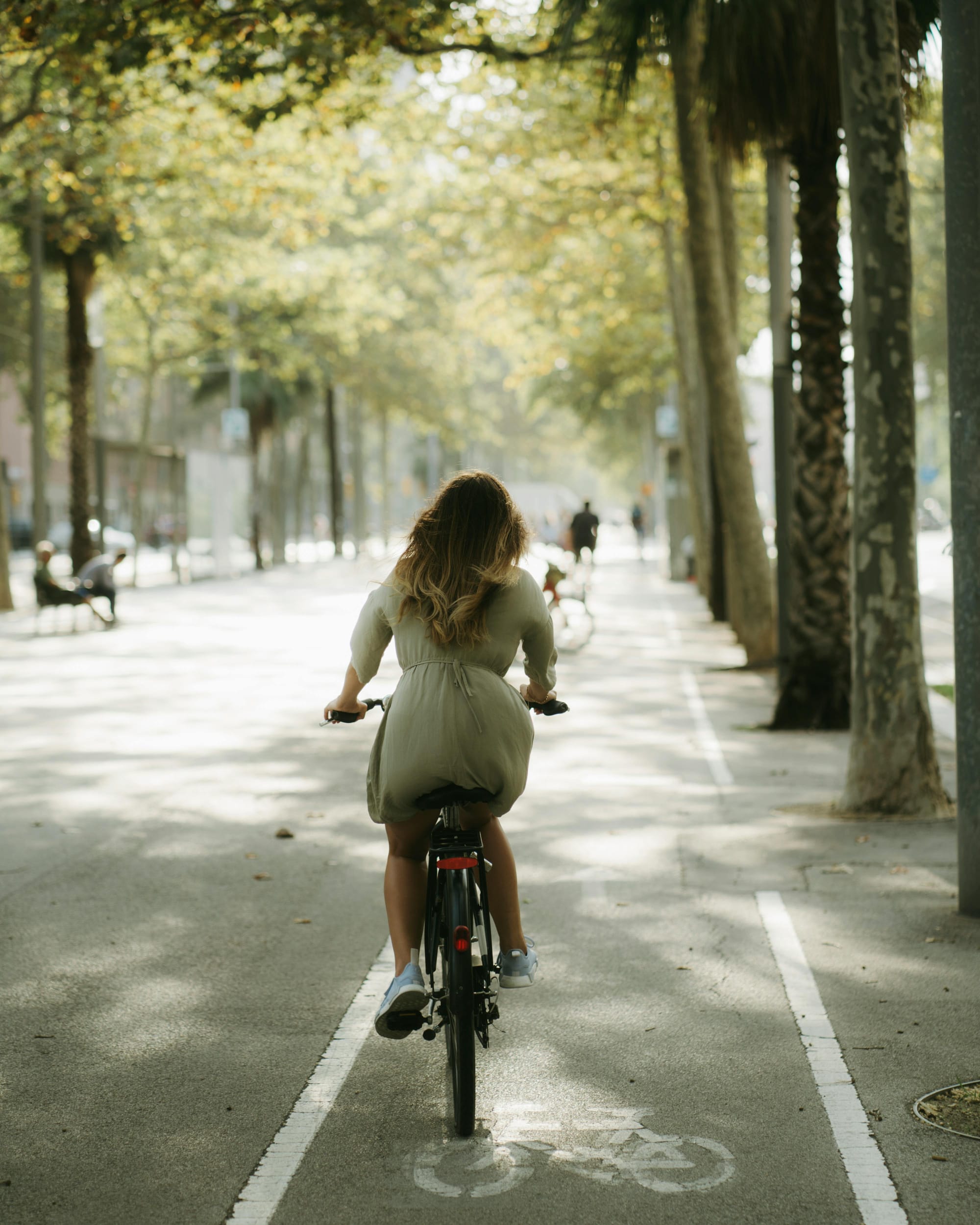 Book "Bike Tour in Barcelona"